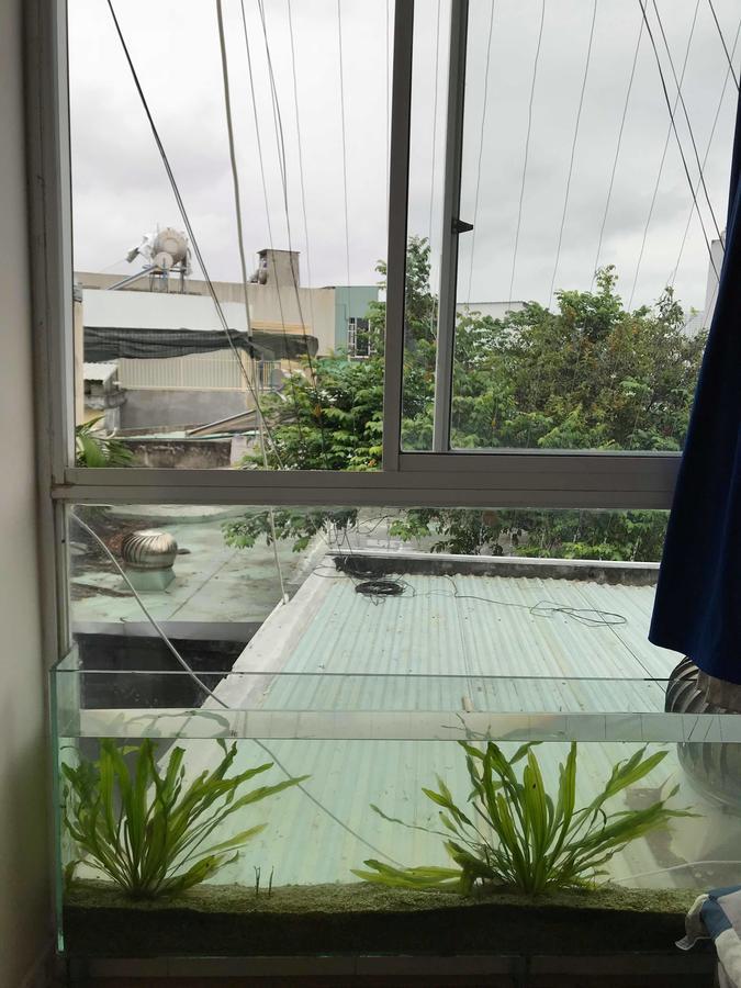 Win Win Hostel Đà Nẵng Extérieur photo