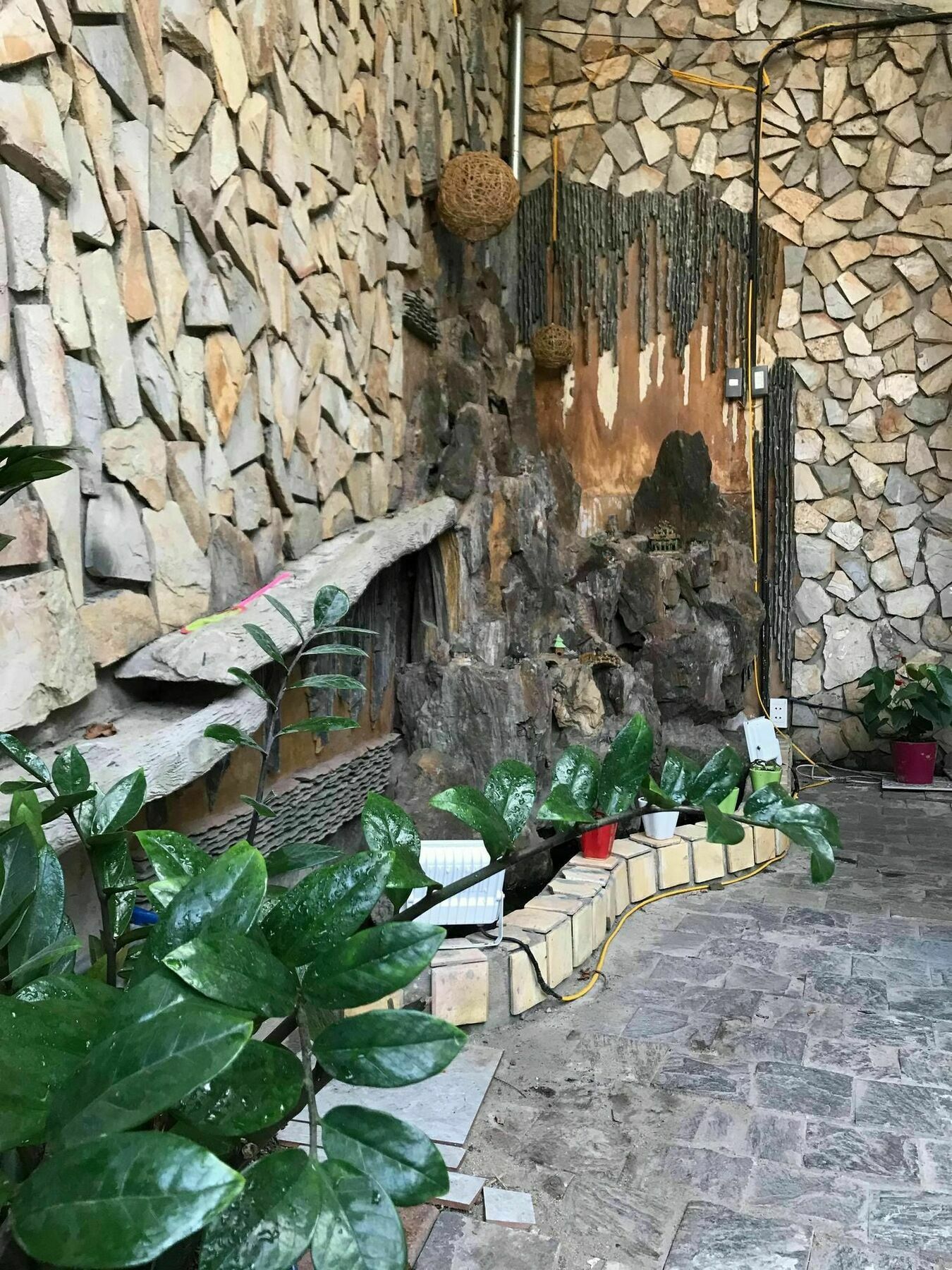 Win Win Hostel Đà Nẵng Extérieur photo